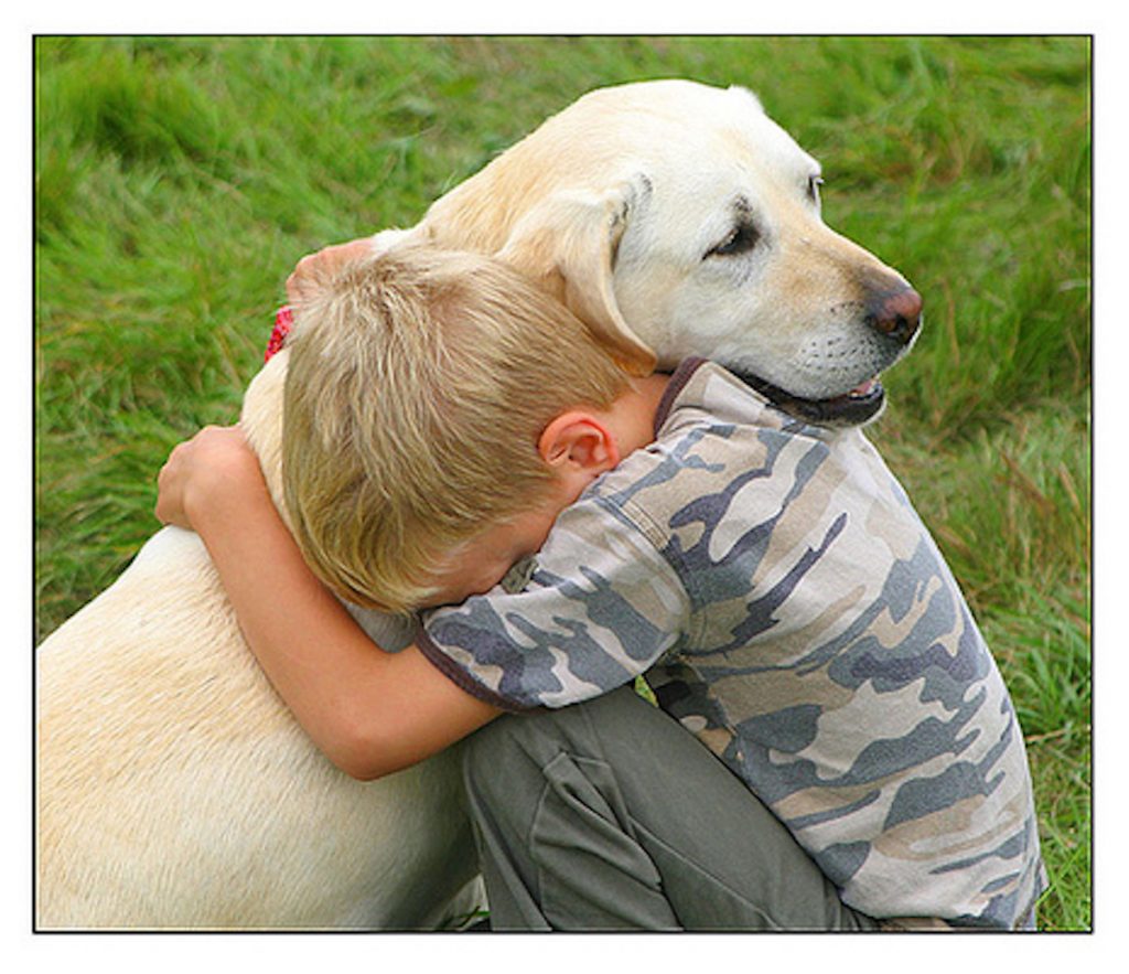 Dogs naturally want to comfort people who are upset